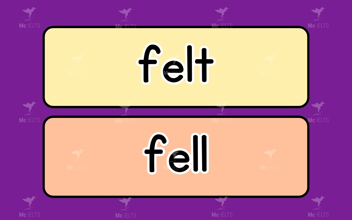 Felt vs Fell thuộc các từ dễ nhầm lẫn trong tiếng anh