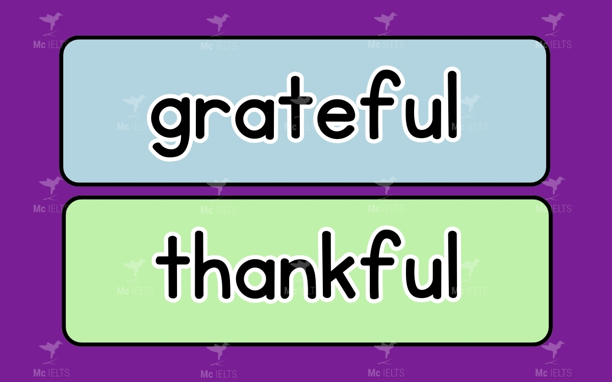 Grateful vs Thankful thuộc những từ tiếng anh dễ nhầm lẫn