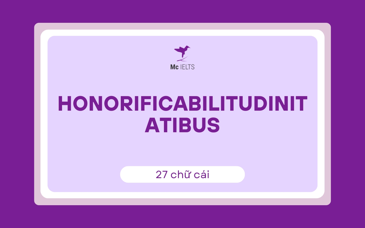 Honorificabilitudinitatibus (27 chữ cái)