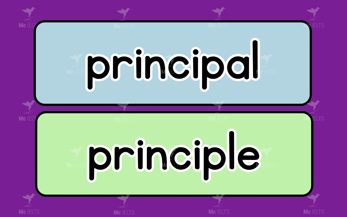 Cặp từ Principal vs Principle