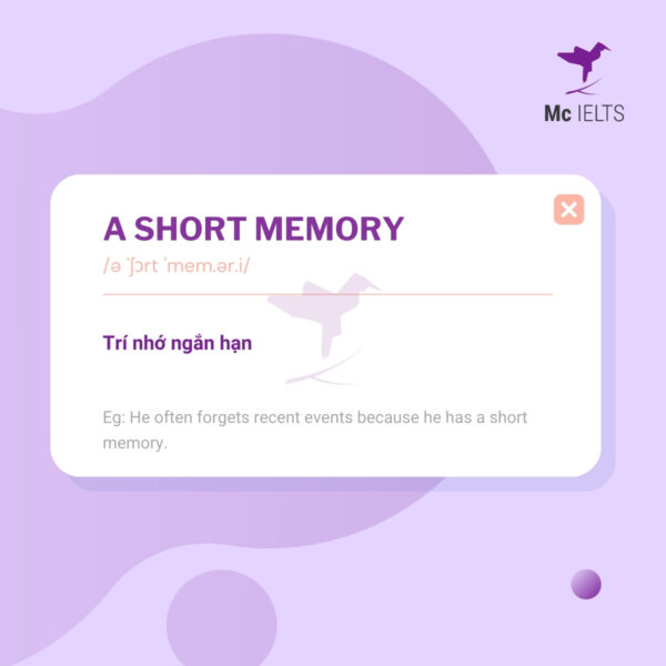 Vocabulary a short memory - Topic Memory