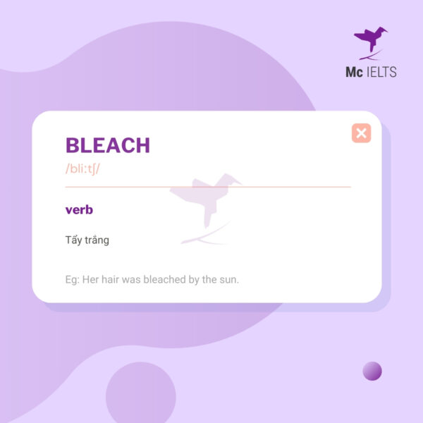 Vocabulary bleach topic Pollution