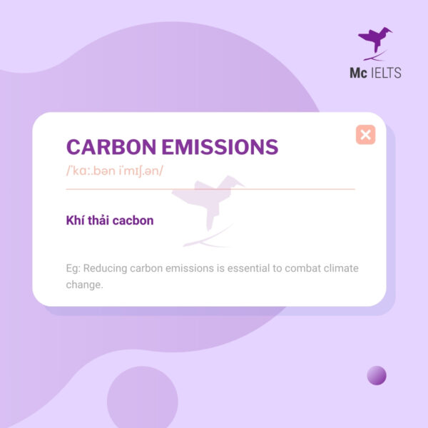 Vocabulary Carbon emission - Topic Traffic Jam