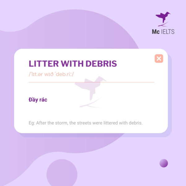Vocabulary litter with debris topic Pollution