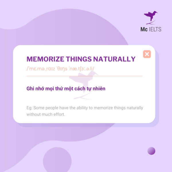 Vocabulary memorize things naturally - Topic Memory