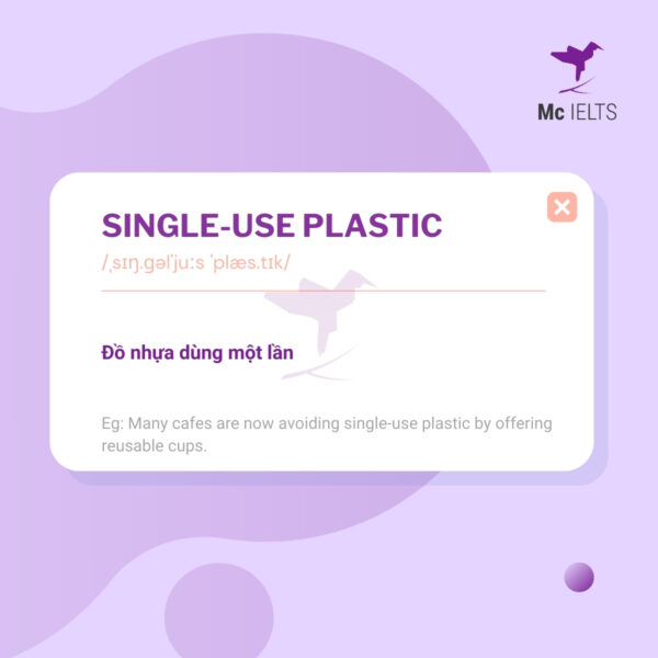 Vocabulary single use plastic topic Pollution