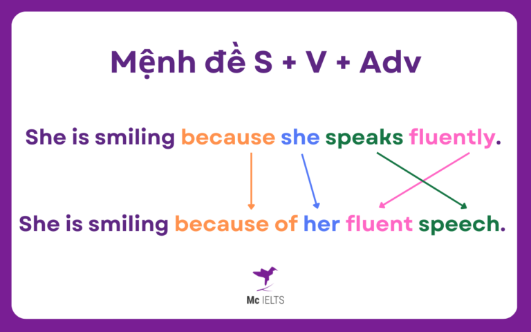 Cấu Trúc BECAUSE OF, BECAUSE: Cách Dùng, Bài Tập Cụ Thể