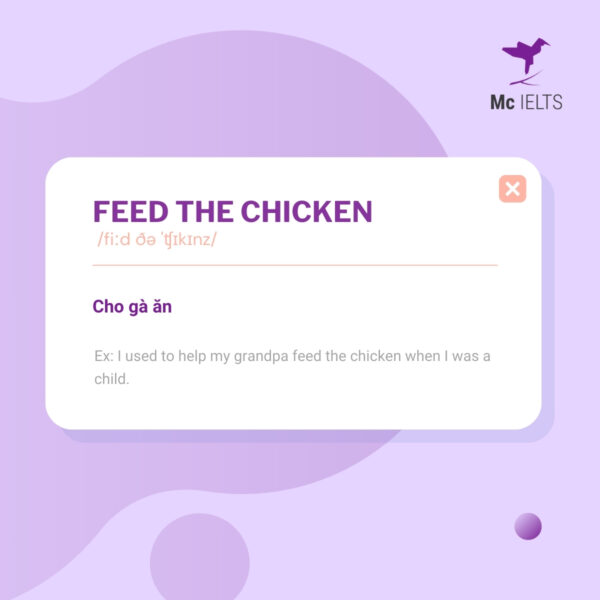 Vocabulary feed the chicken topic Housework and Cooking