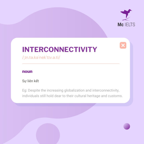 Vocabulary interconnectivity topic Festival
