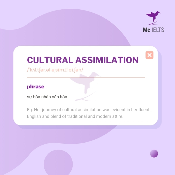 Vocabulary cultural assimilation topic Name