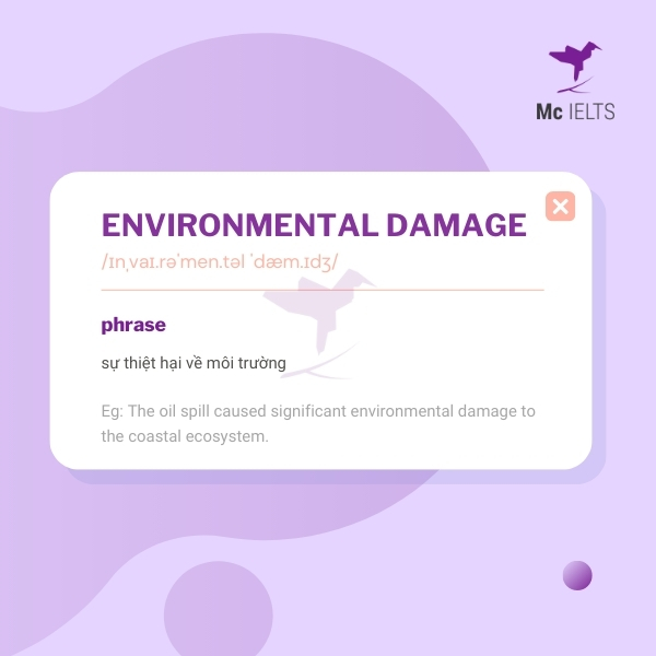 Vocabulary environmental damage topic Environment