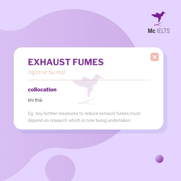 Vocabulary exhaust fumes topic Environment