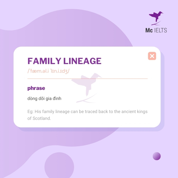 Vocabulary family lineage topic Name