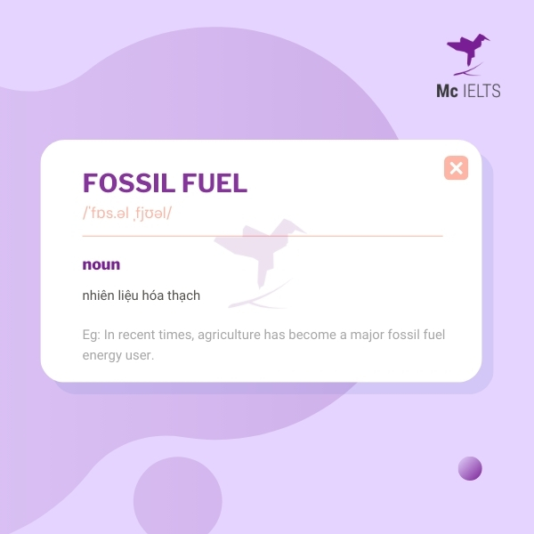 Vocabulary fossil fuel topic Environment