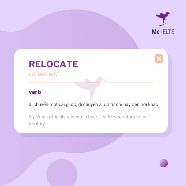 Vocabulary relocate topic Accommodation