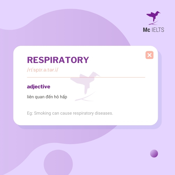 Vocabulary respiratory topic Environment