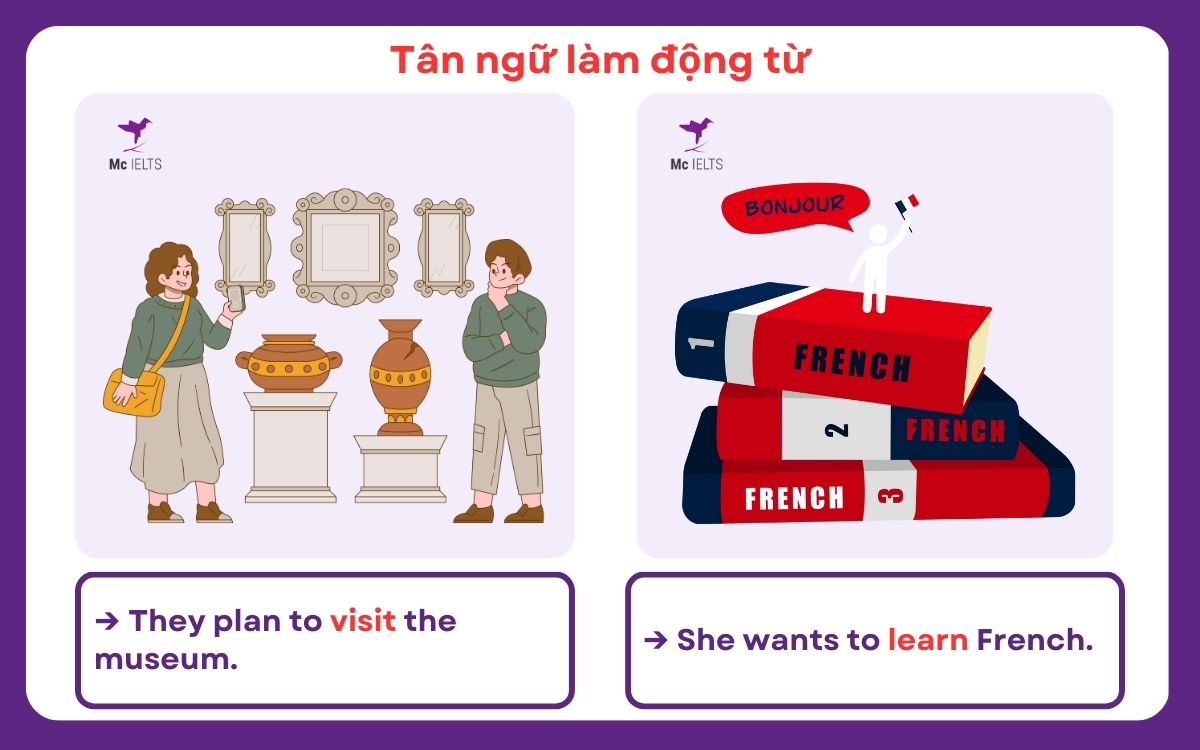 Tân ngữ là gì? Ví dụ tân ngữ đóng vai trò là động từ