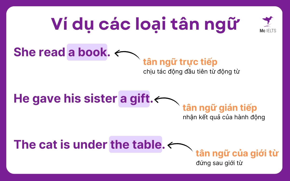 Ví dụ về 3 loại Object