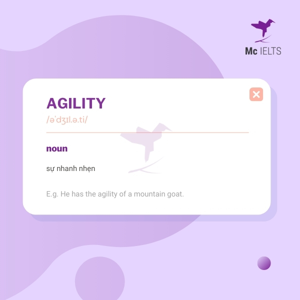 Vocabulary agility topic Animals