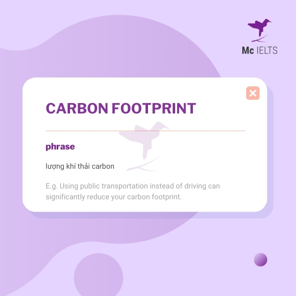 Vocabulary carbon footprint topic Animals