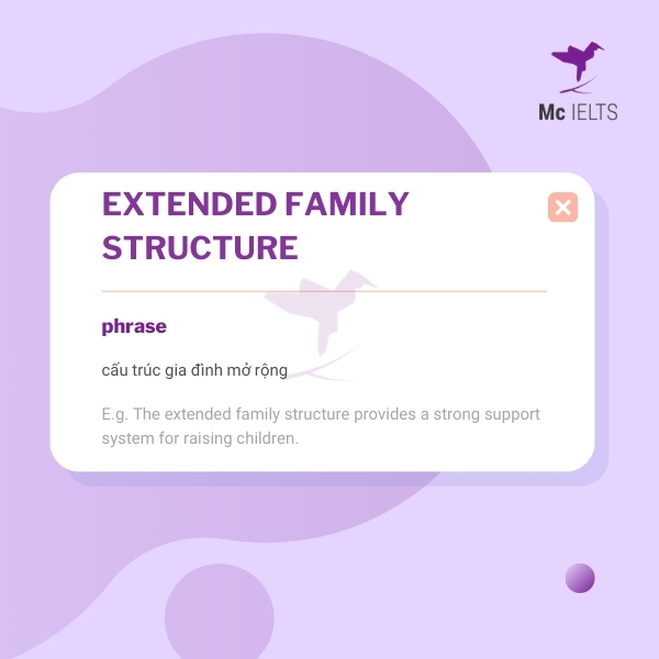 Vocabulary extended family structure topic Family