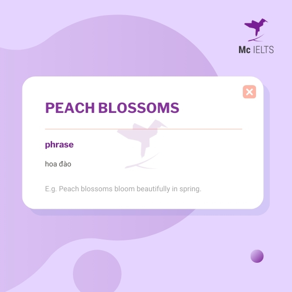 Vocabulary peach blossoms topic Plants & Gardening