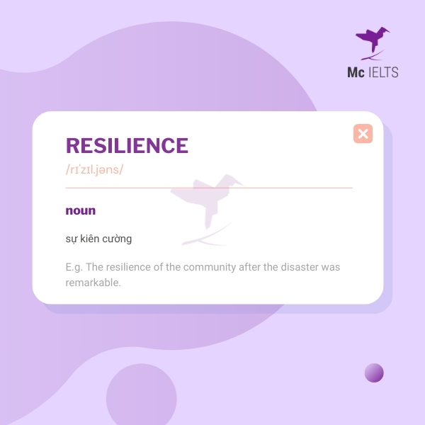 Vocabulary resilience topic Family