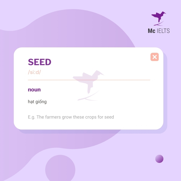 Vocabulary seed topic Plants & Gardening