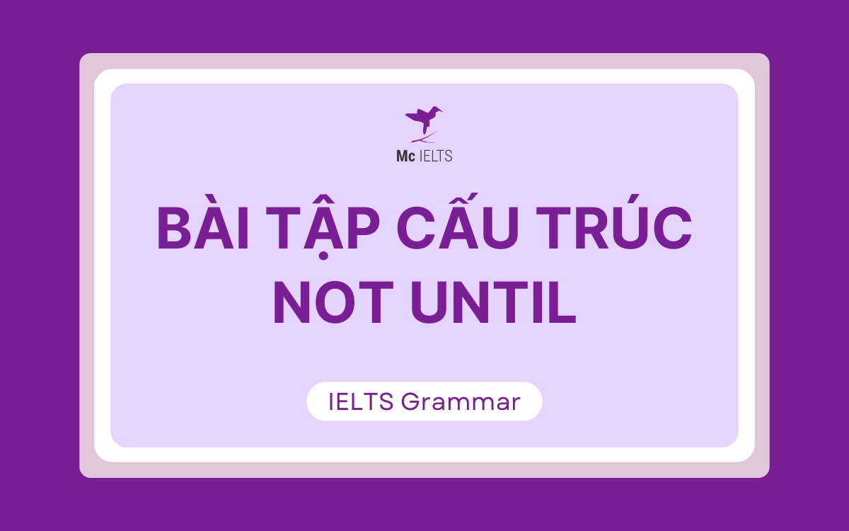 Bài tập câu đảo ngữ Not until