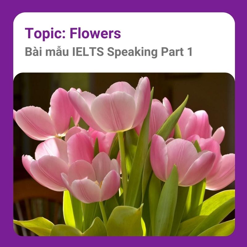 Flowers IELTS Speaking