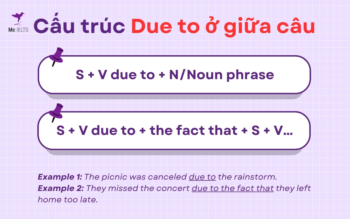 Due to the fact that là gì? Bài tập cấu trúc Due to