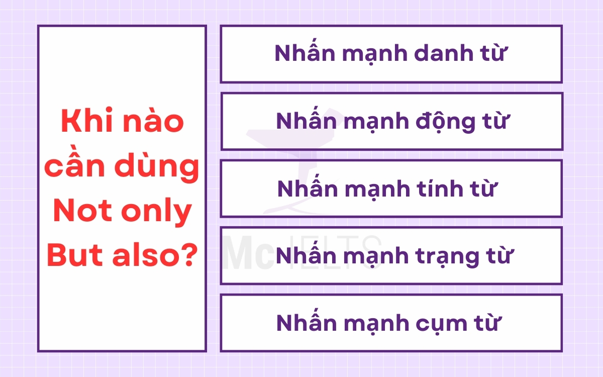 Trường hợp sử dụng và Bài tập không chỉ mà còn