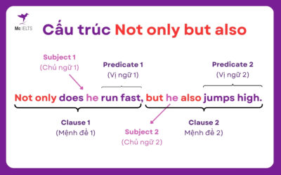 Cấu Trúc Not Only, But Also Trong Tiếng Anh | Cách Dùng Đầy Đủ