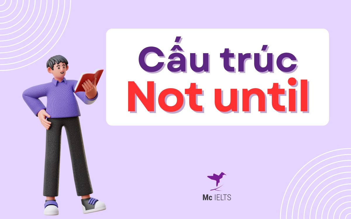 Bài tập viết lại câu với Not until