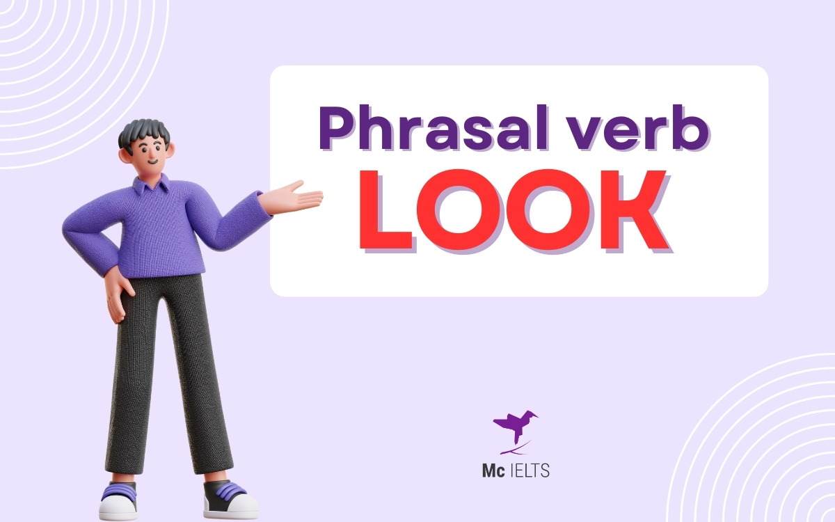 Phrasal verbs với Look