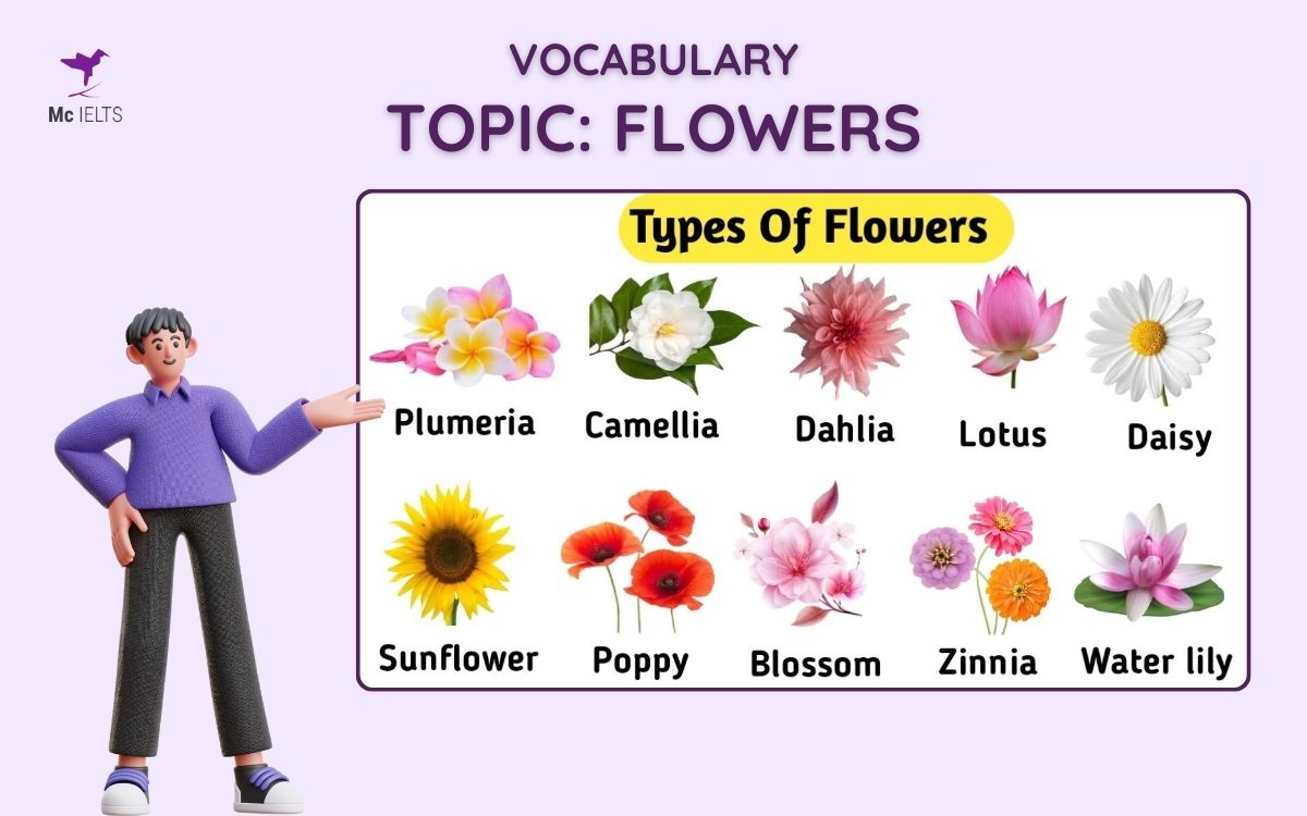 Vocab thông dụng trong Flowers IELTS Speaking Part 3, 2, 1