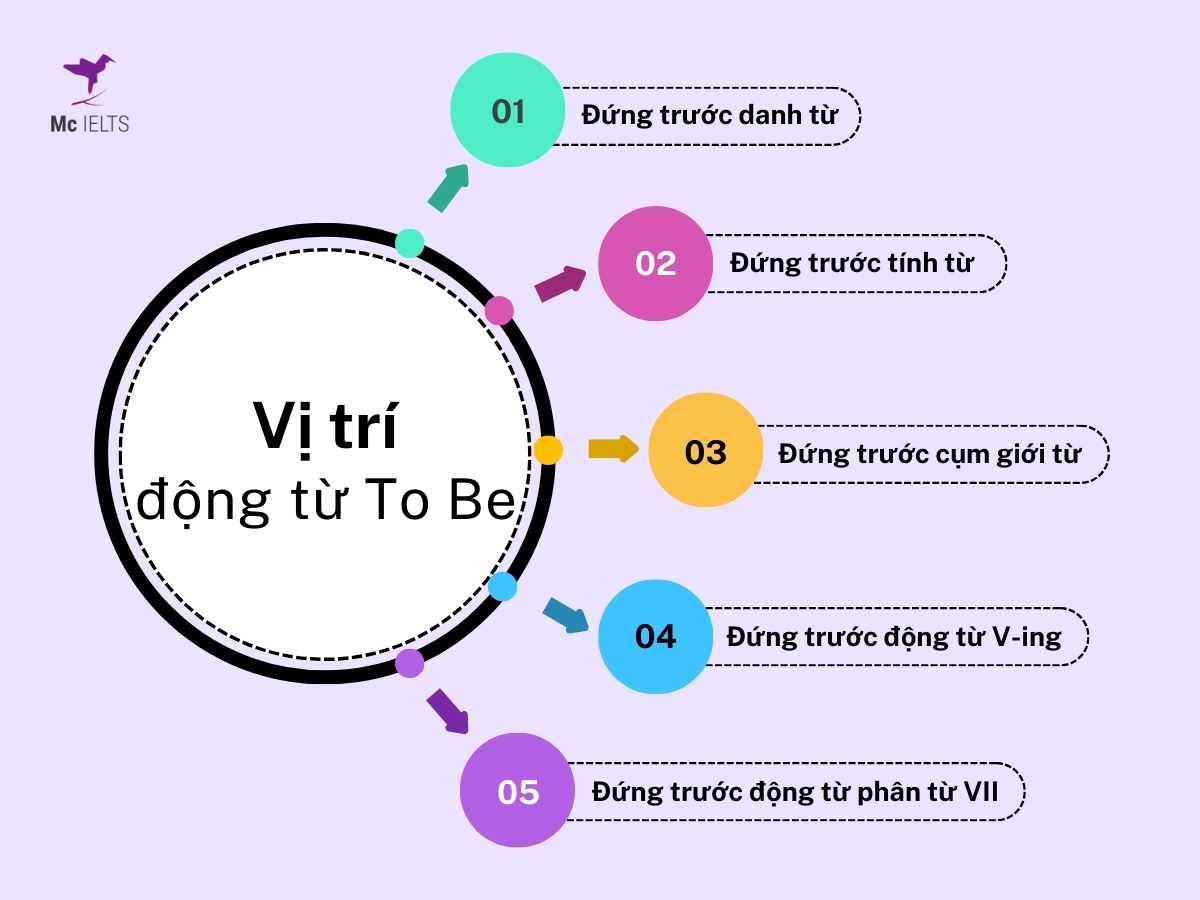 Khi nào dùng to be? Vị trí động từ ToBe trong câu tiếng Anh