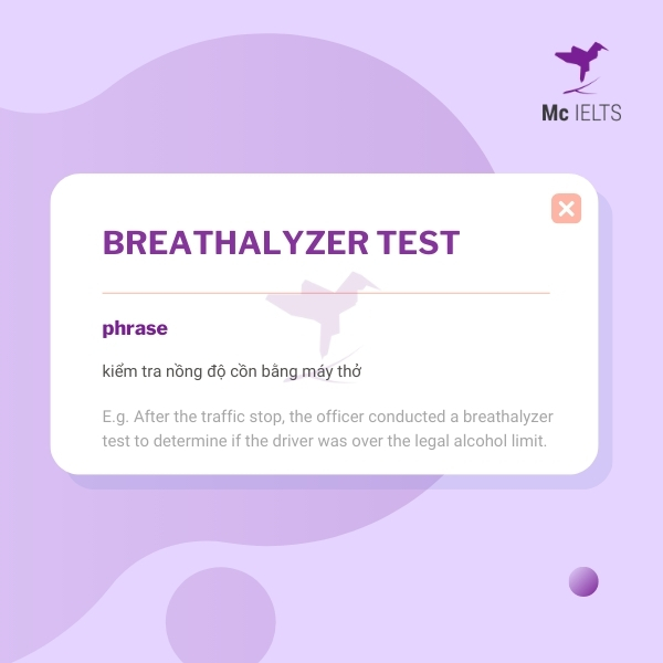 Vocabulary breathalyzer test topic Crime