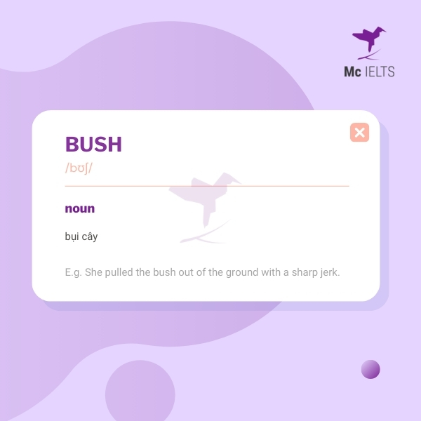 Vocabulary bush topic Games