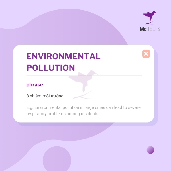 Vocabulary environmental pollution topic Society