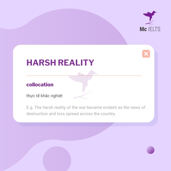 Vocabulary harsh reality topic Films/Movies