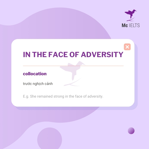 Vocabulary in the face of adversity topic Role model