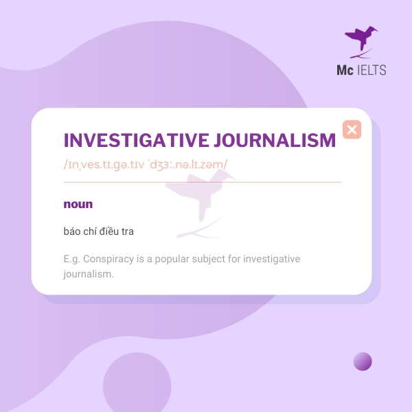 Vocabulary investigative journalism topic Newspapers