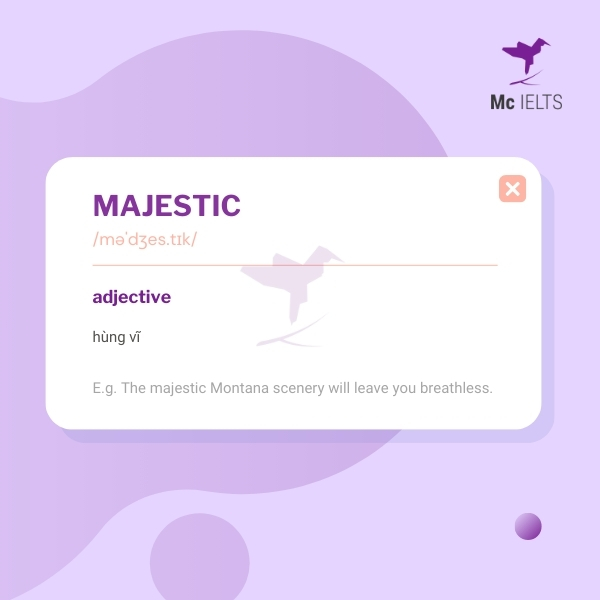 Vocabulary majestic topic Wild animals