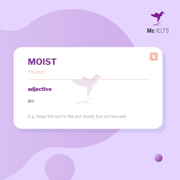 Vocabulary moist topic Desserts/Sweets & Cakes