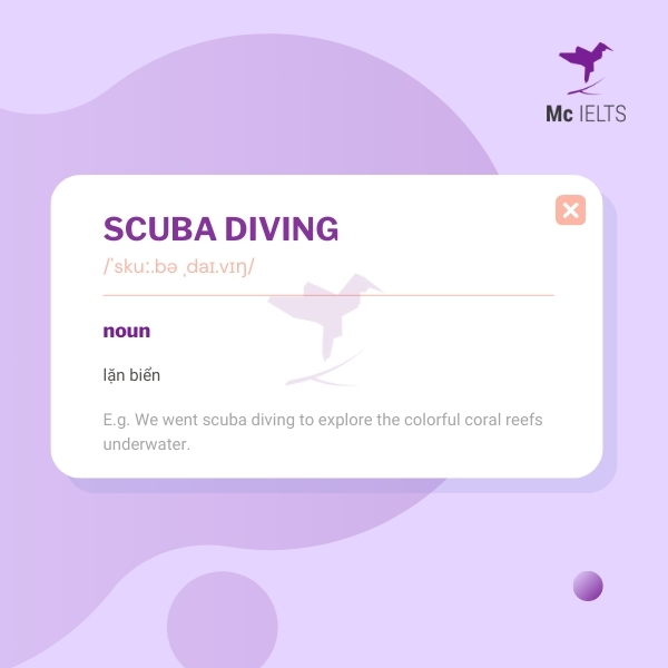 Vocabulary scuba diving topic Water