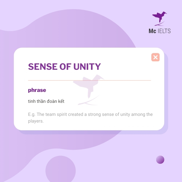 Vocabulary sense of unity topic Clothes/Clothing