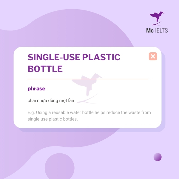 Vocabulary single-use plastic bottle topic Water