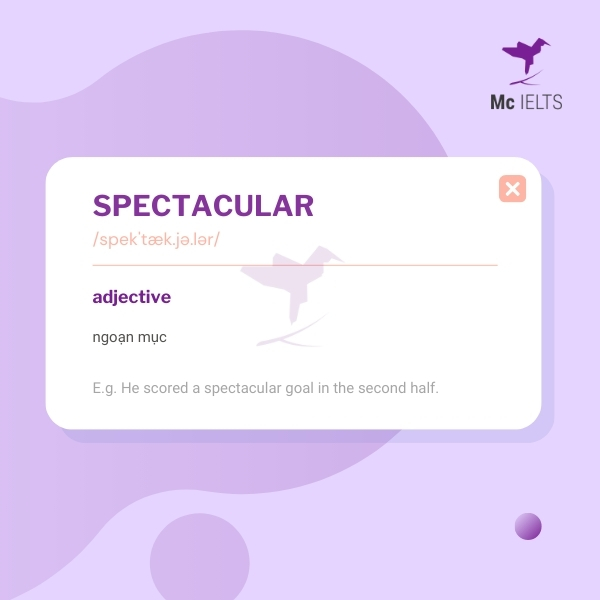 Vocabulary spectacular topic Wild animals