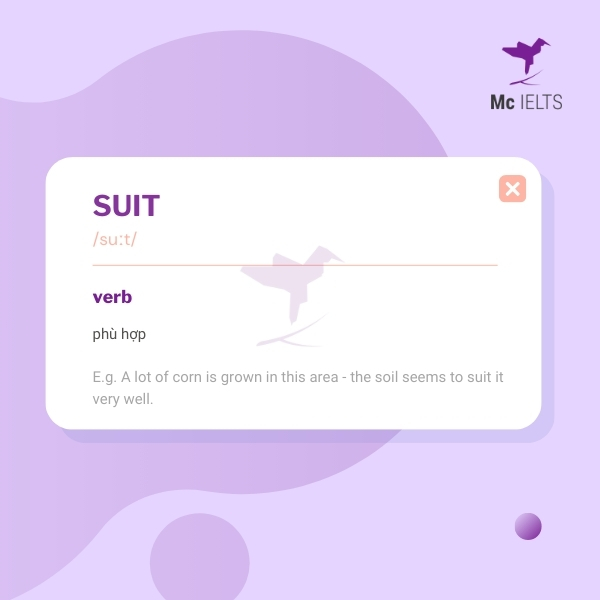 Vocabulary suit topic Clothes/Clothing